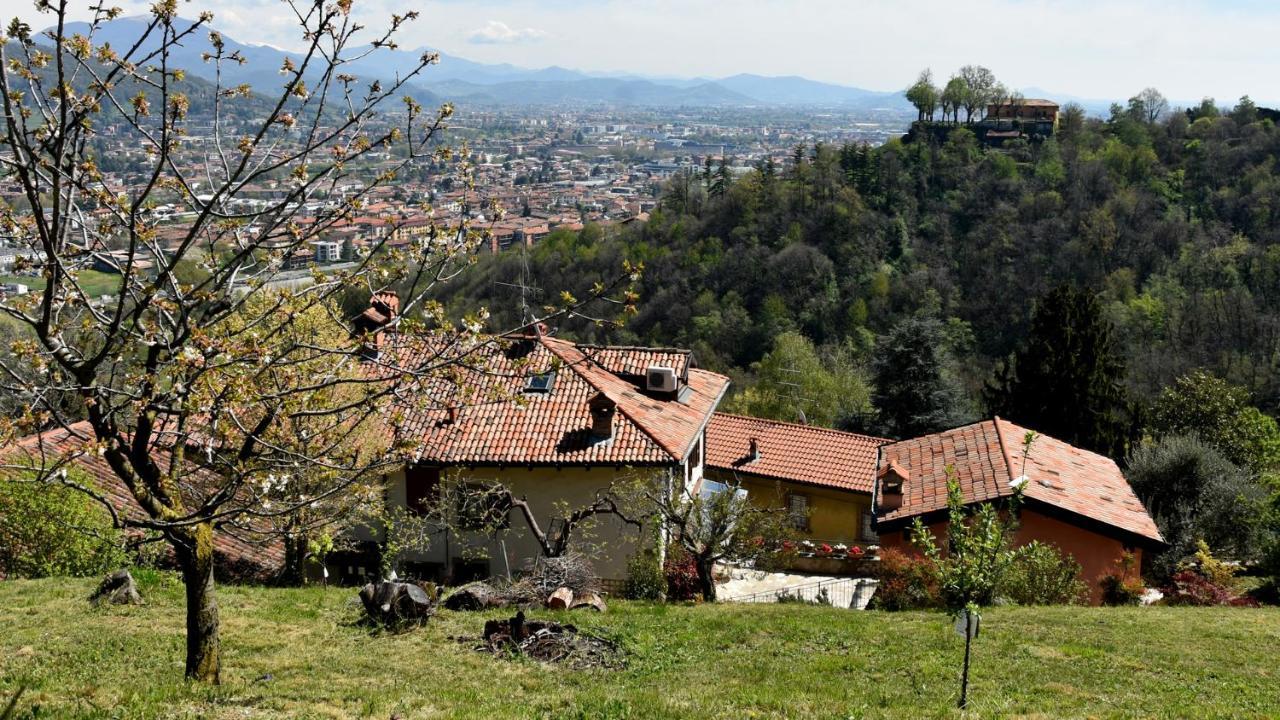 Apartamento Il Giardino Di Berbech Citta Alta-Ulivo Bérgamo Exterior foto
